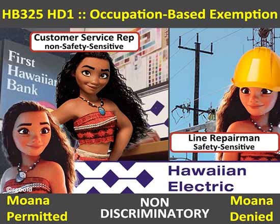 Moana presents aloha proposal to end medical cannabis discrimination in Hawaii'